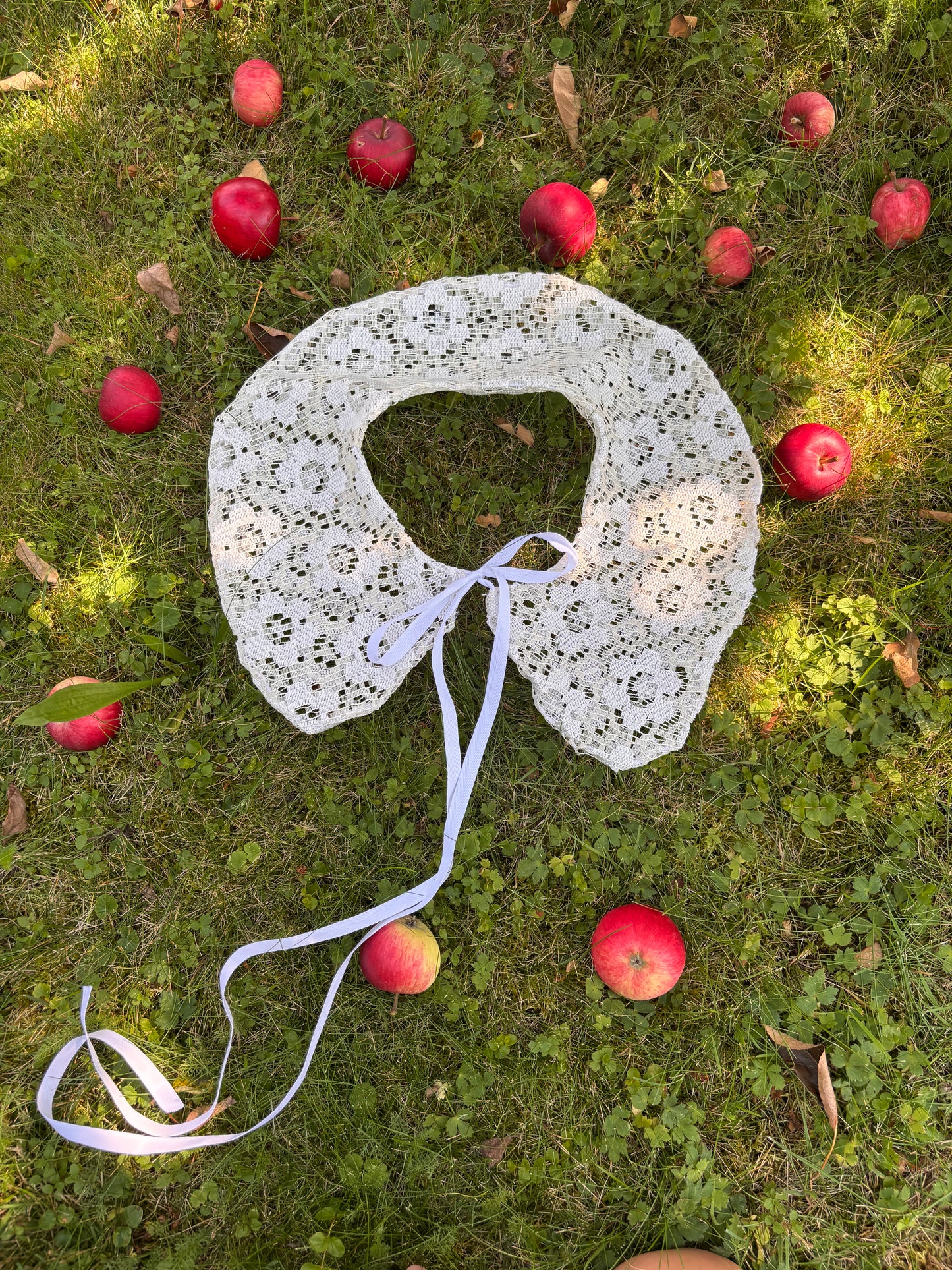 kołnierzyk stokrotka