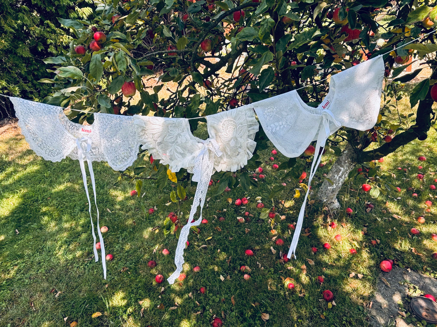 kołnierzyk gipsówka