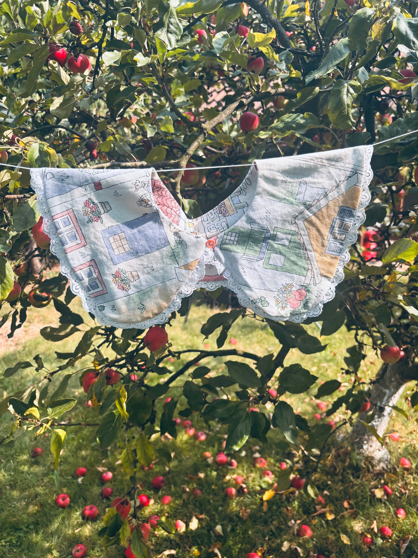 kołnierzyk miasteczko