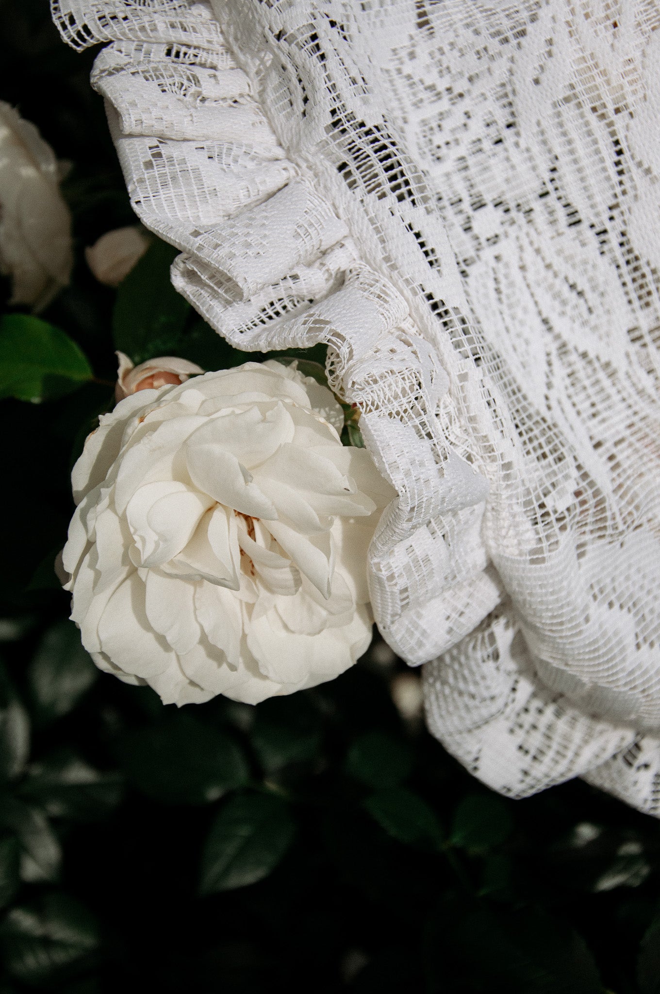 Torba ruffled Rossie